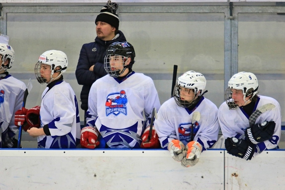 Dorost - semifinále 2017 29