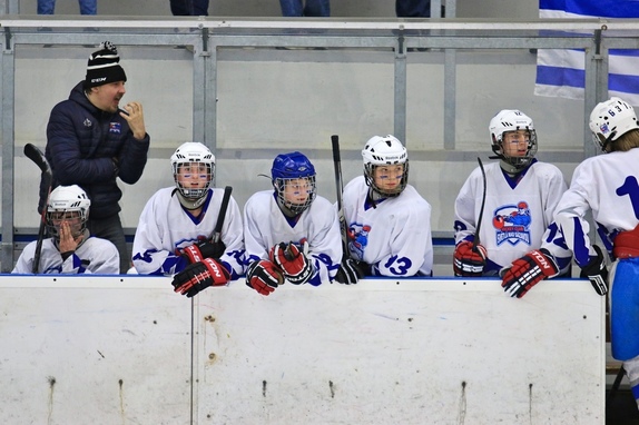 Dorost - finále 2017 5