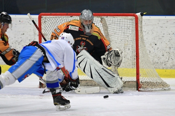 HC Světlá n. S. - HC Ledeč n. S. 13:2 (8.11.2017) 