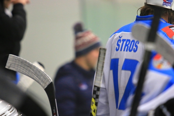 HC Světlá n. S. - HC Ledeč n. S. 13:2 (8.11.2017) 