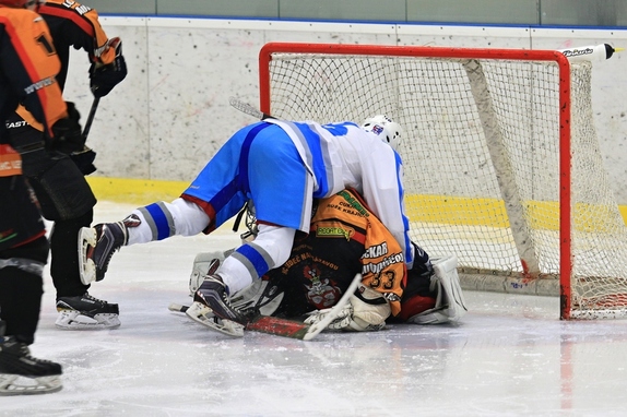 HC Světlá n. S. - HC Ledeč n. S. 13:2 (8.11.2017) 