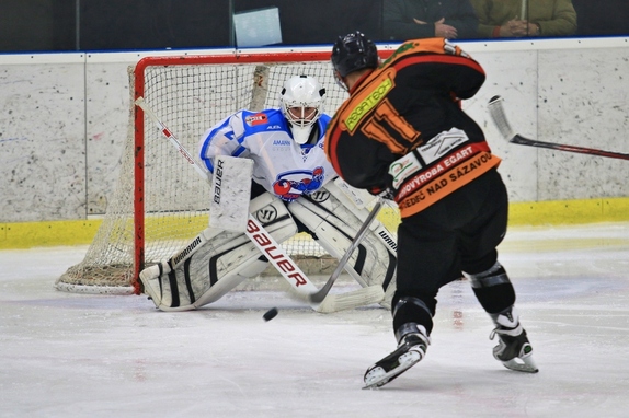 HC Světlá n. S. - HC Ledeč n. S. 13:2 (8.11.2017) 