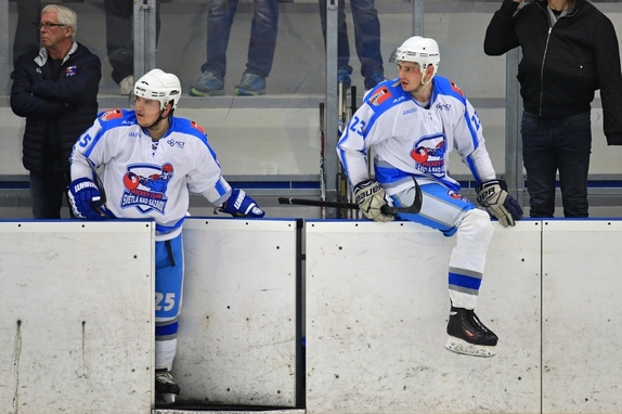 HC Světlá n. S. - HC Ledeč n. S. 13:2 (8.11.2017) 