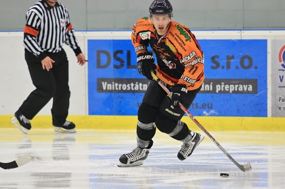 HC Světlá n. S. - HC Ledeč n. S. 13:2 (8.11.2017) 