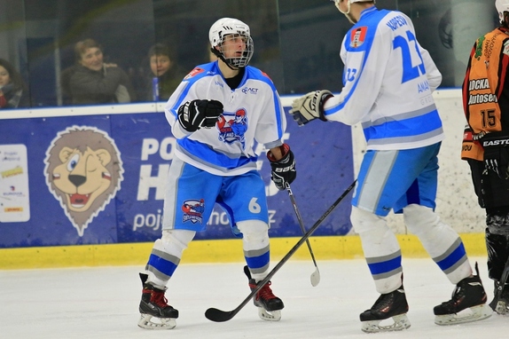 HC Světlá n. S. - HC Ledeč n. S. 13:2 (8.11.2017) 