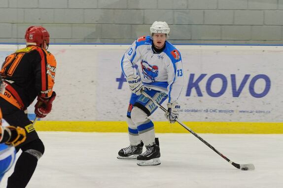HC Světlá n. S. - HC Ledeč n. S. 8:2 (20. 1. 2016)