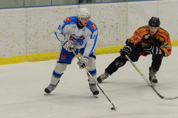 HC Světlá n. S. - HC Ledeč n. S. 8:2 (20. 1. 2016)