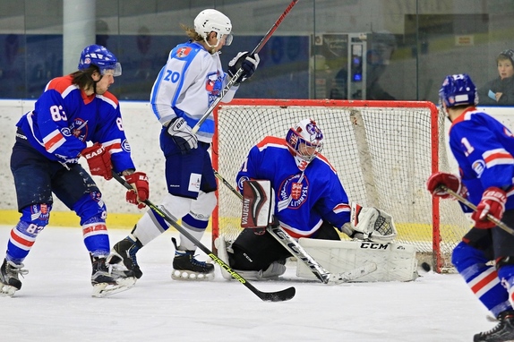 HC Světlá n. S. - HC Litomyšl 2:6 (9.12.2018) 7