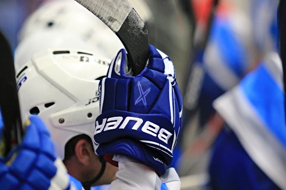 HC Světlá n. S. - HC Chotěboř 3:0 (10.2.2019) 6