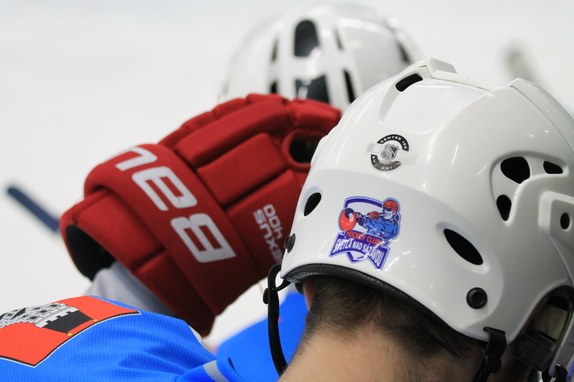 HC Světlá n. S. - HC Litomyšl 4:2 (21.2.2016) 49
