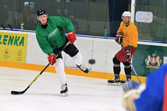 Příprava na ledě v Humpolci (11.6.2021) 6