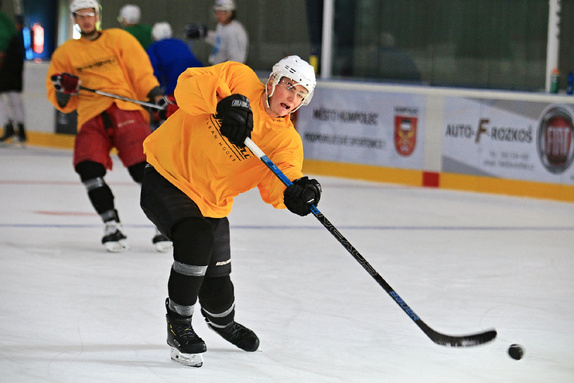 Příprava na ledě v Humpolci (11.6.2021) 23