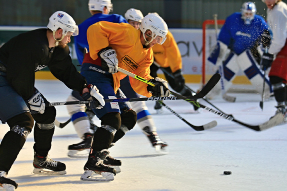 Příprava na ledě v Humpolci (11.6.2021) 30