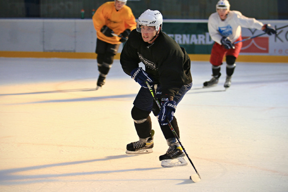 Příprava na ledě v Humpolci (11.6.2021) 32