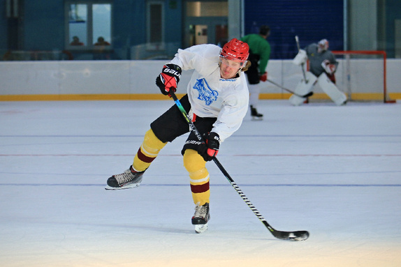 Příprava na ledě v Humpolci (11.6.2021) 36