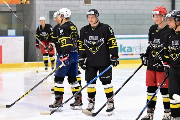 HC Světlá n. S. - HC Bystřice n. P. 3:0 (9.1.2022)