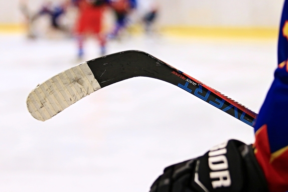 HC Světlá n. S. - SK Telč 8:3 (30.1.2022) 8